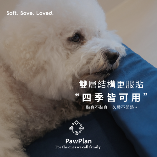 PawPlan 安睡扶手床｜ 軟Q支撐感 × 包覆穩定 × 全可拆洗