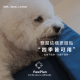 PawPlan 安睡扶手床｜ 軟Q支撐感 × 包覆穩定 × 全可拆洗
